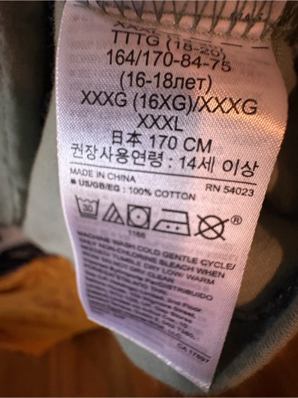 GAP Sage Green Beastie Boys 'Check Your Head' Graphic Tee